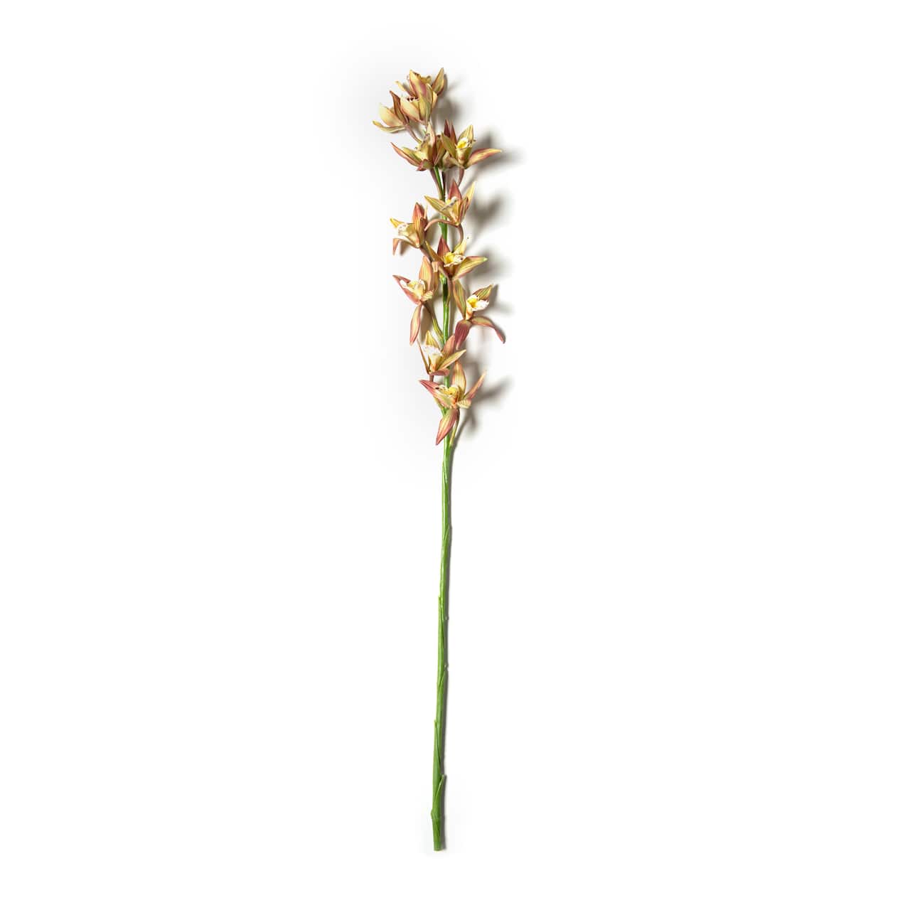 Rust Red Boat Orchid Stem by Ashland&#xAE;